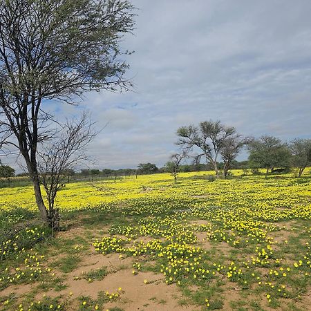Kaoko Bush Lodge Kamanjab エクステリア 写真