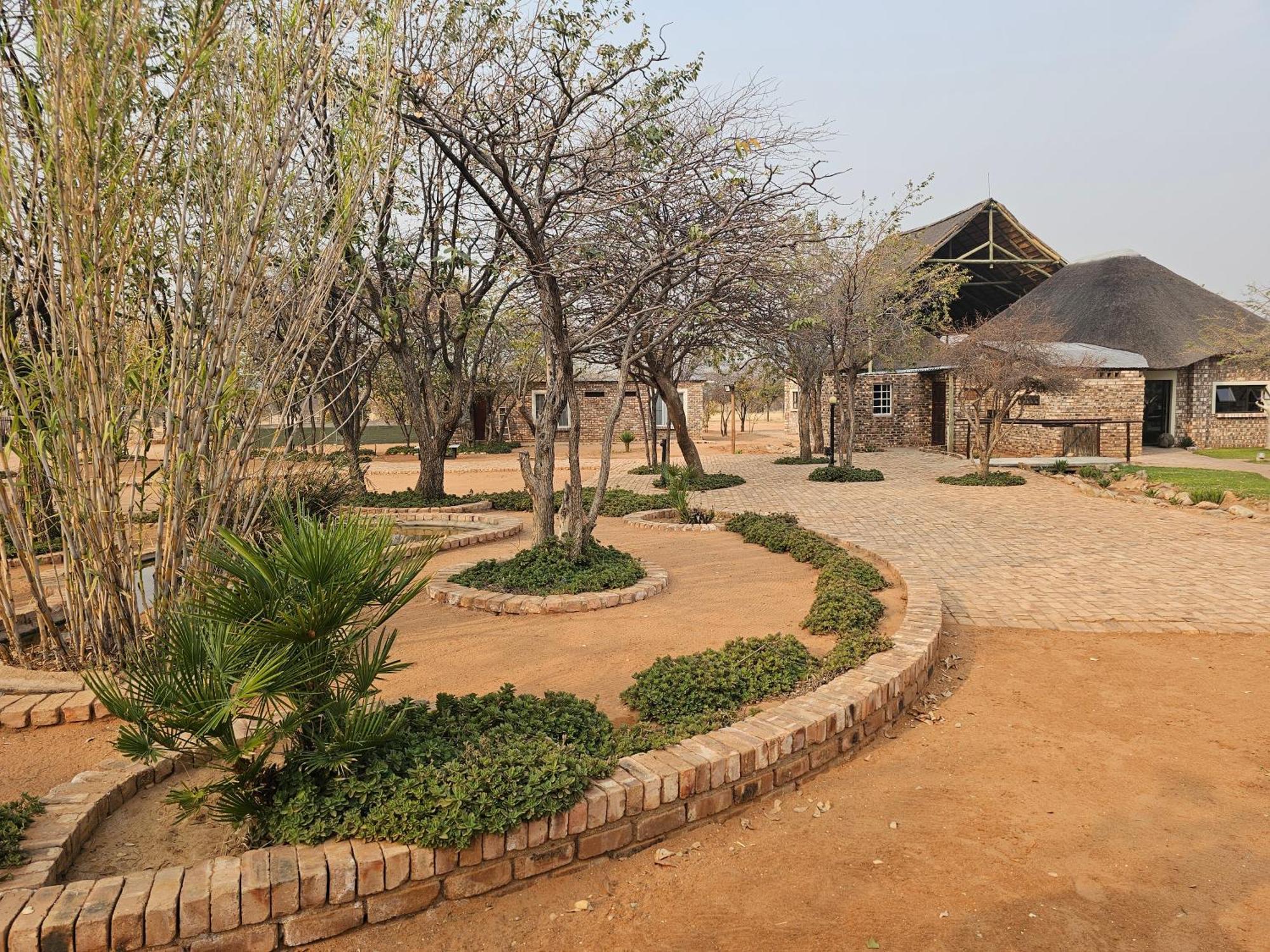 Kaoko Bush Lodge Kamanjab エクステリア 写真