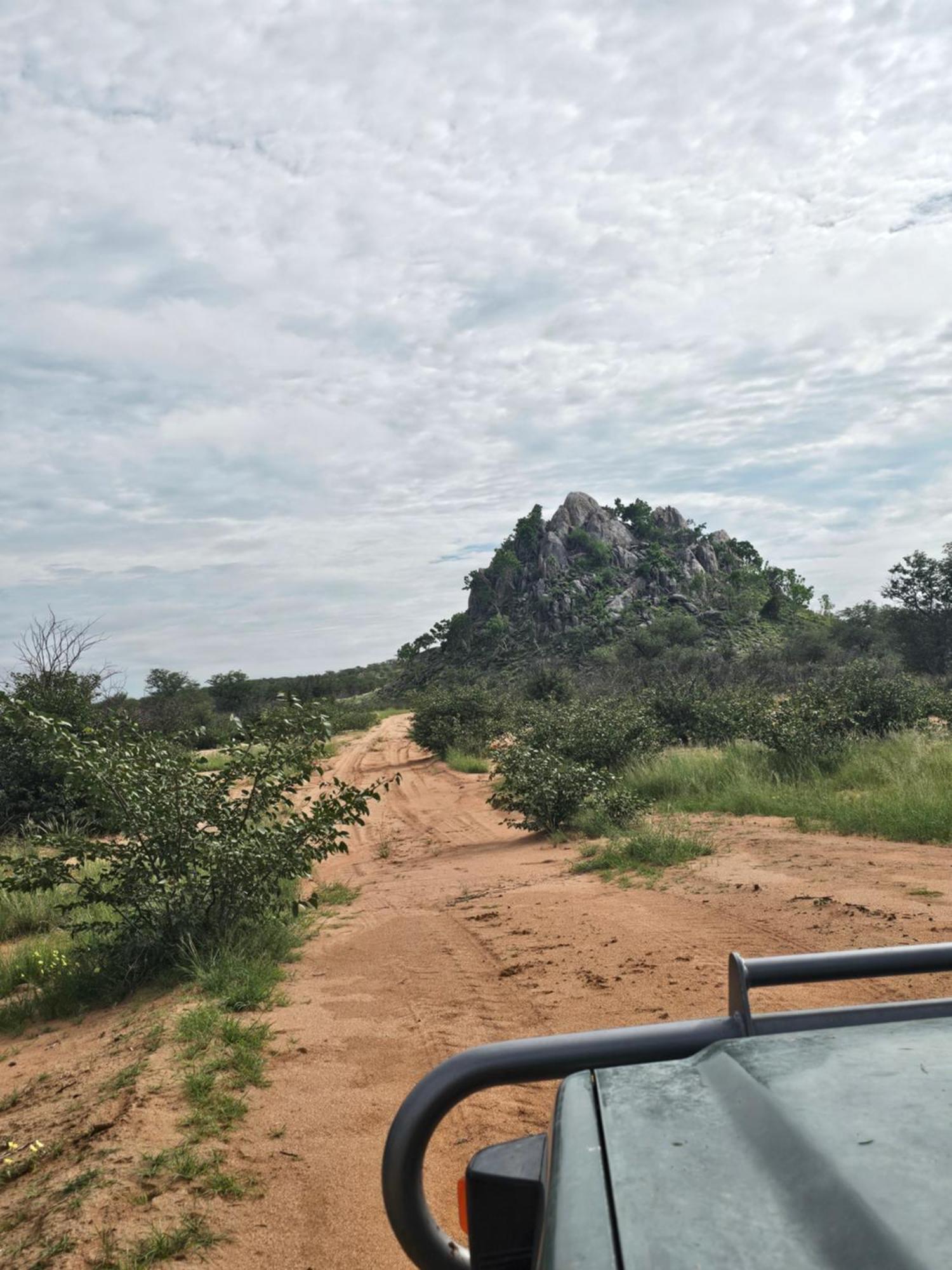 Kaoko Bush Lodge Kamanjab エクステリア 写真