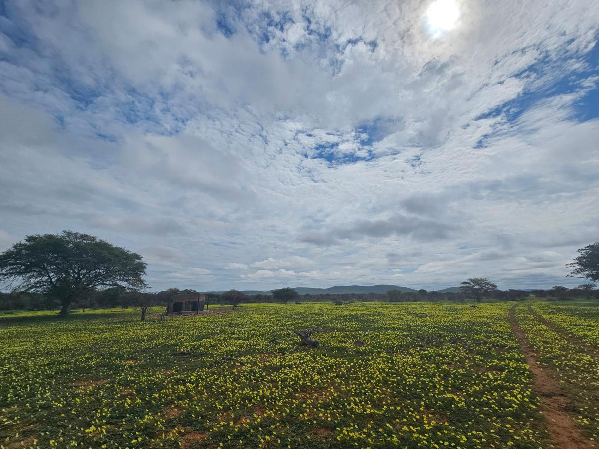 Kaoko Bush Lodge Kamanjab エクステリア 写真