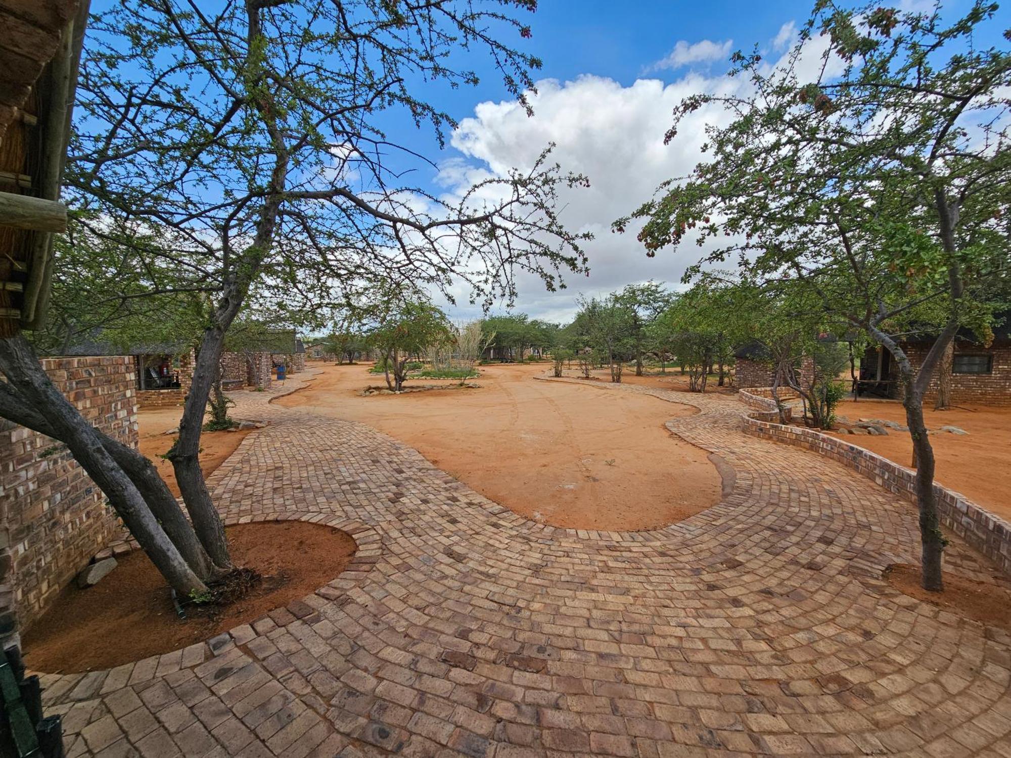 Kaoko Bush Lodge Kamanjab エクステリア 写真
