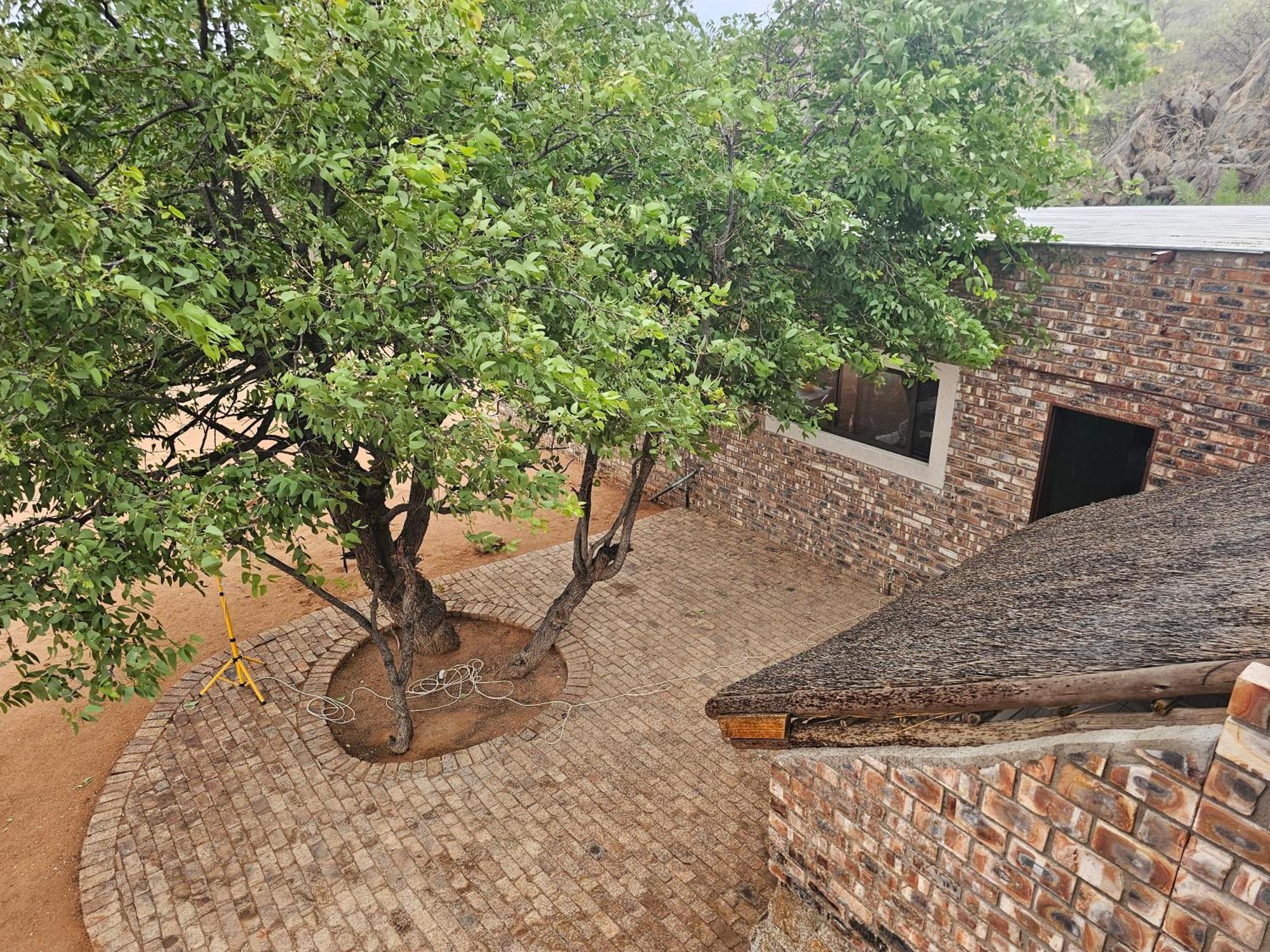 Kaoko Bush Lodge Kamanjab エクステリア 写真