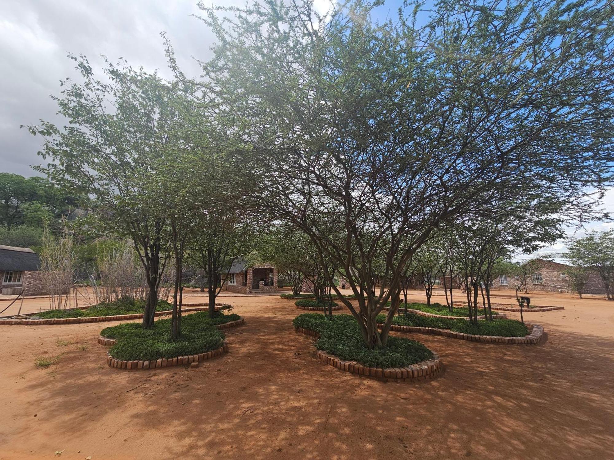 Kaoko Bush Lodge Kamanjab エクステリア 写真