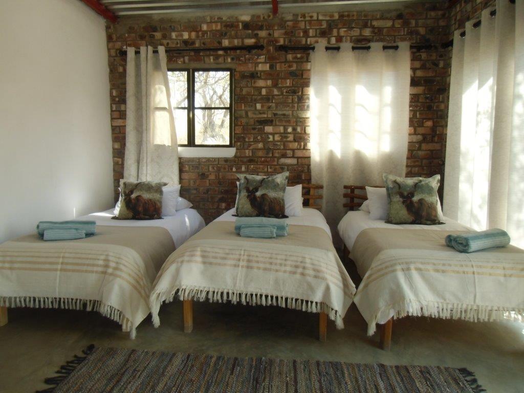 Kaoko Bush Lodge Kamanjab エクステリア 写真